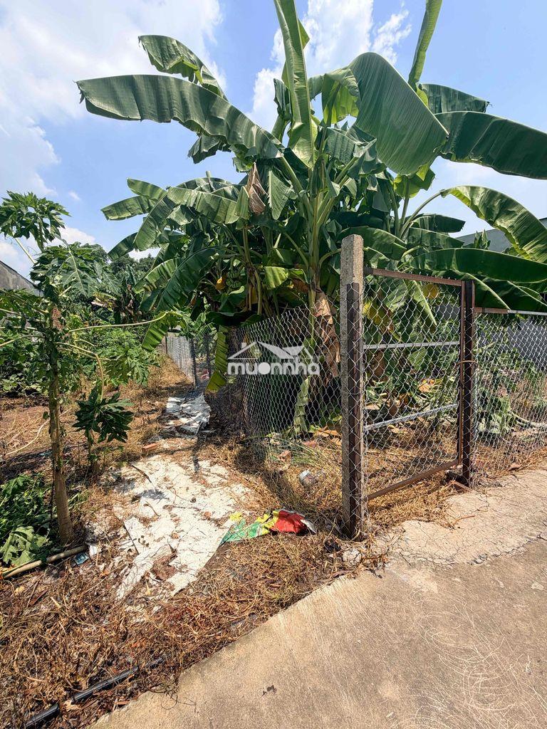 Đất đô thị 125m2,đường nguyễn văn tiên tân phong biên hoà - 2