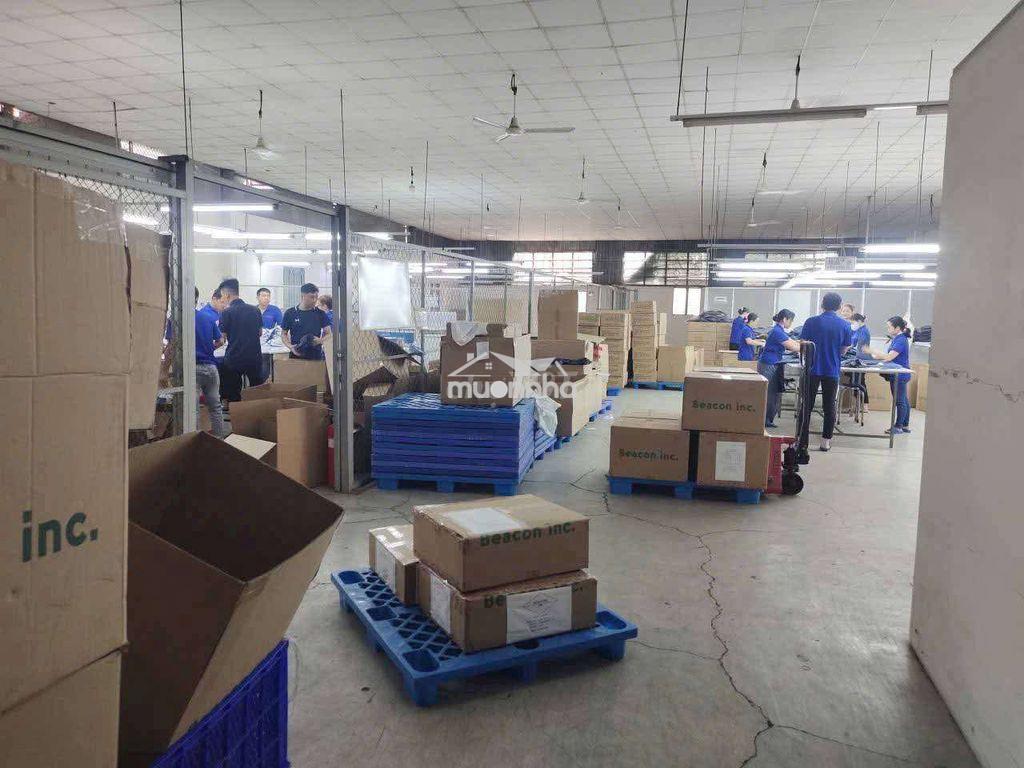 Kho xưởng 700m2. gò vấp - 3