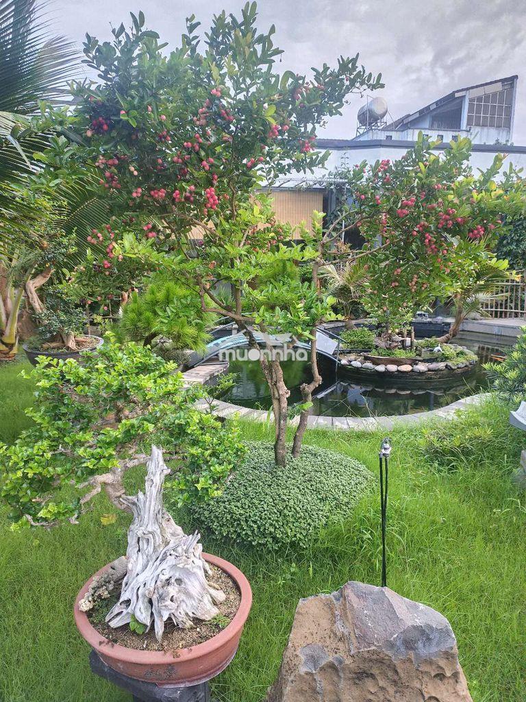 Biệt phủ sân vườn trung tâm tp đồng nai - 3