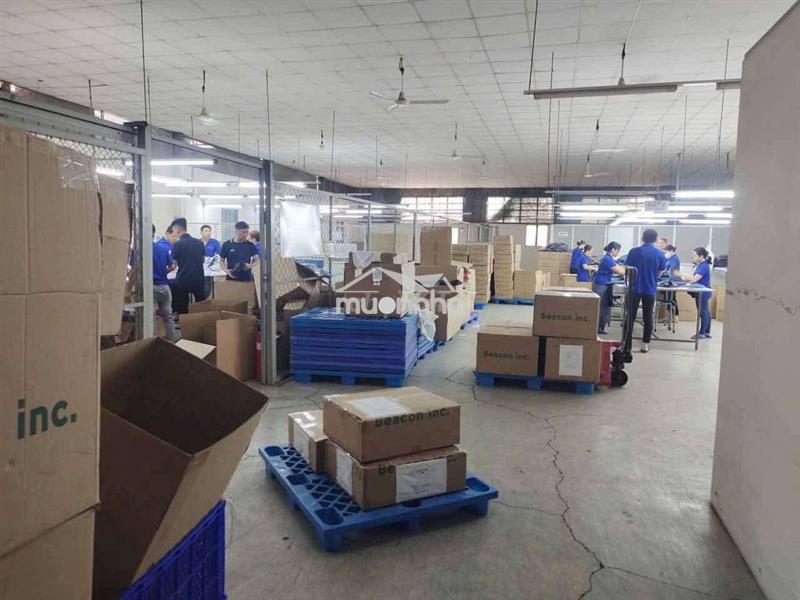 Kho xưởng 700m2. gò vấp