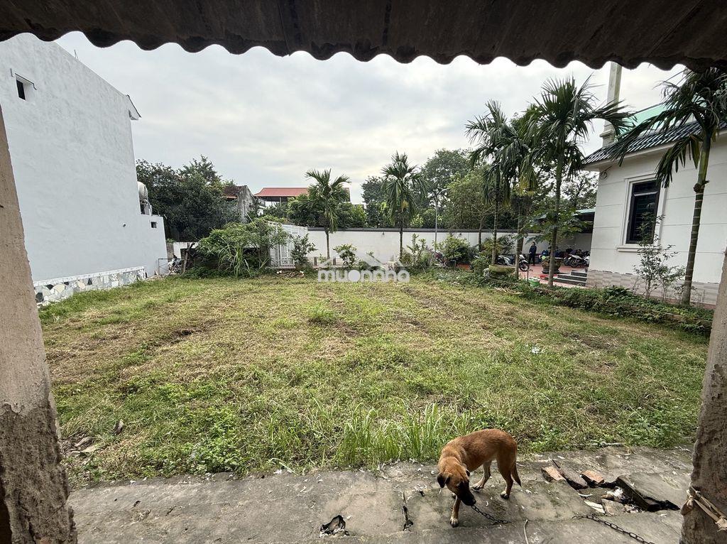 Chính chủ bán đất thôn thụ ích 4, liên châu - 4