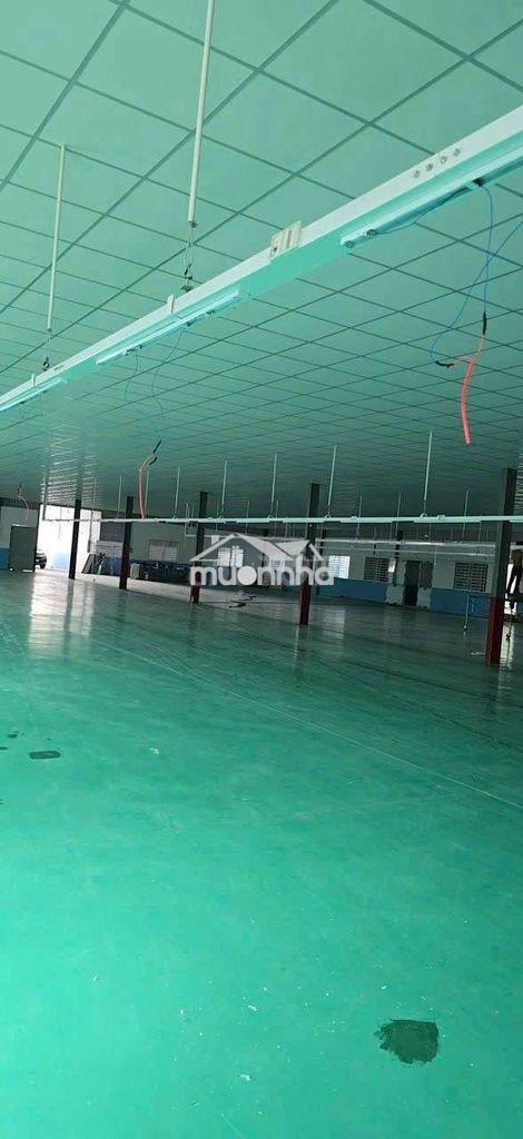 Cho thuê xưởng 1950m2.nền sơn epoxy,ngã 4 hòa lân,thuận an,bình dương - 2