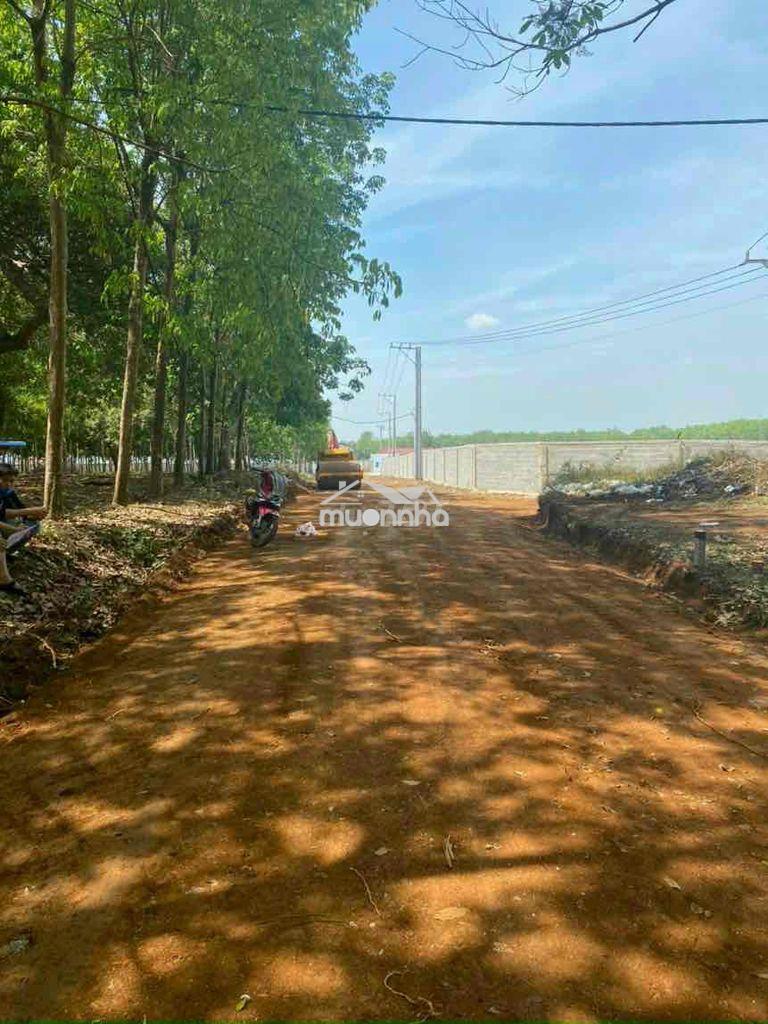 4000m2 tiện làm kho xưởng bán gấp 490tr sổ riêng - 2
