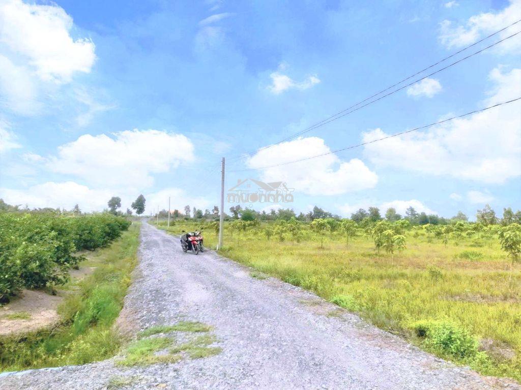 535m2 đất vườn 10x 53m đường ô tô cực đẹp, 400tr - 4