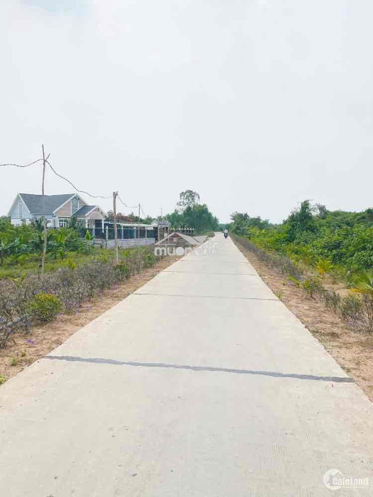 Mảnh vườn củ chi 505m2 có sổ