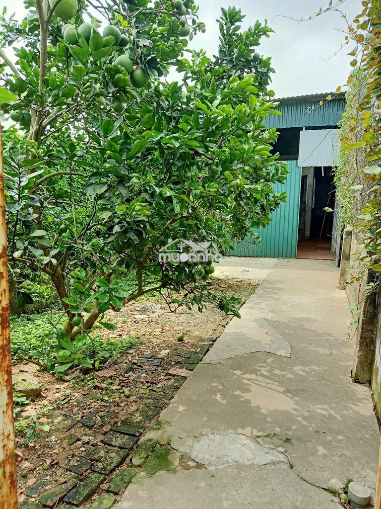 Cho thuê nhà riêng 82m2 tại đức diễn, phú diễn, hà nội giá rẻ 4tr6/th - 3