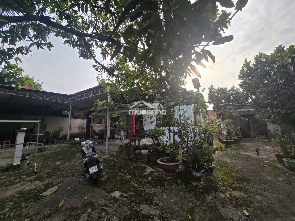 Bán đất chính chủ .  - 3