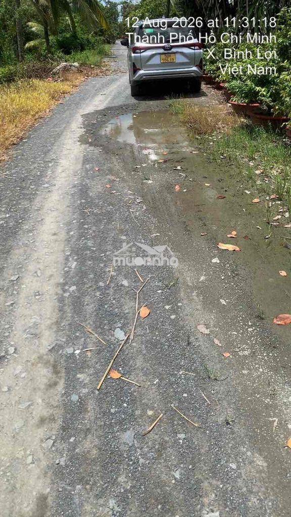 Bán 4500m2 đất trồng cây ăn quả xã bình lợi, bình chánh - 2