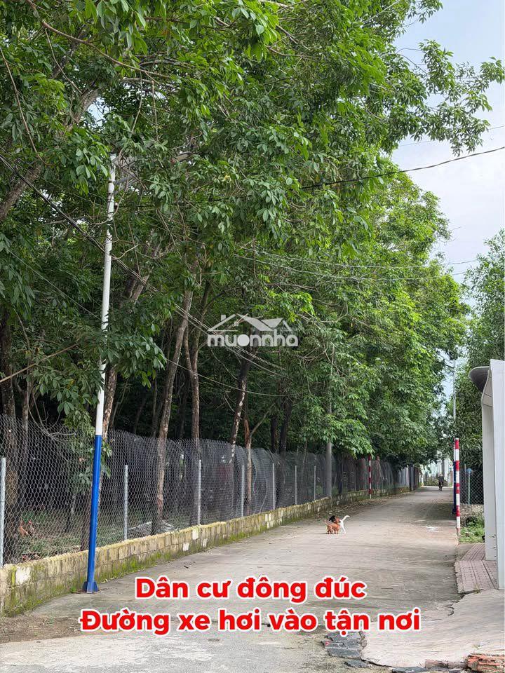 Bán gấp đất sổ riêng sẵn thổ cư ngay chợ thạnh phú, tt 339tr nhận nền - 2