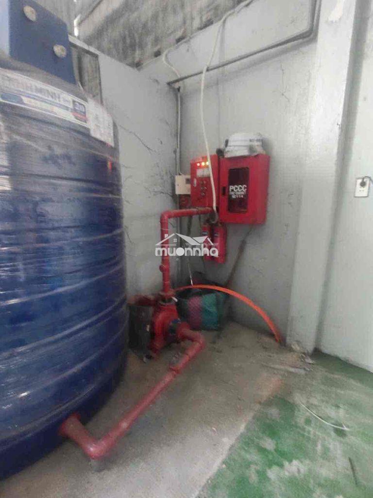Cho thuê kho xuân thới sơn hóc môn - 4