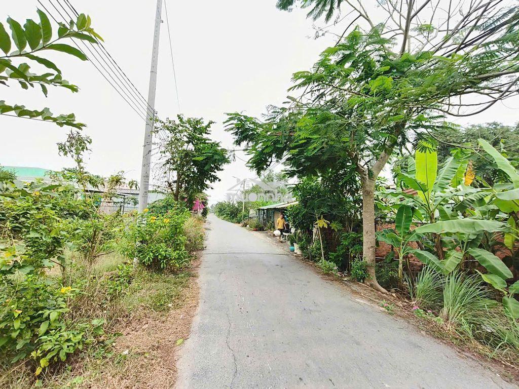 Bán đất quy đức bình chánh - 2