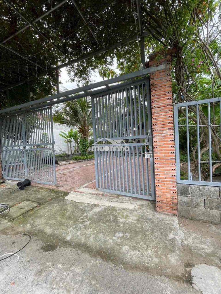 Nhà vườn 10x24m đường bến than, xã tân thạnh đông, củ chi, tp hcm. - 4