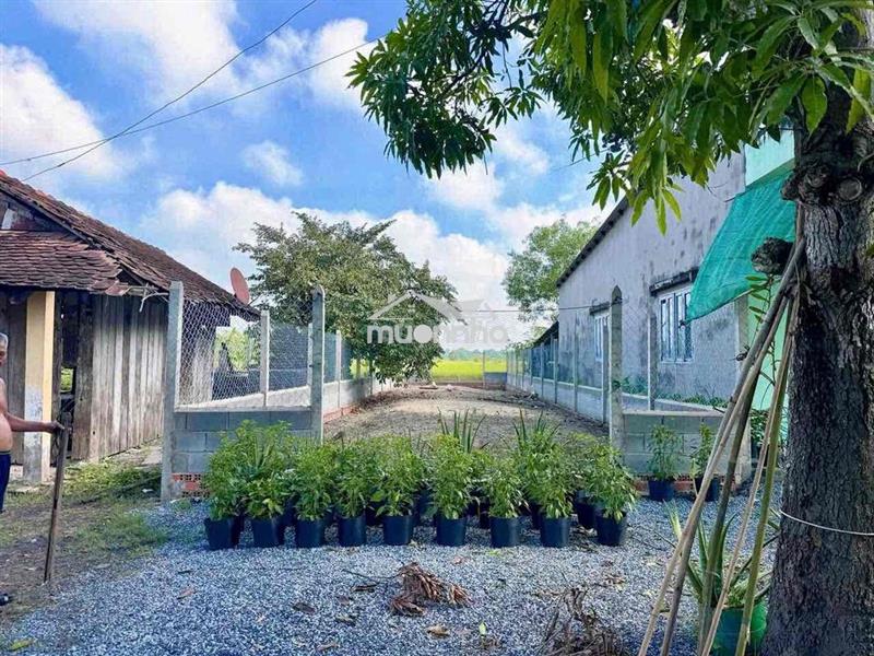 Chính chủ gửi 186m2 đất gần bến xe củ chi ( giá rẻ 800tr )