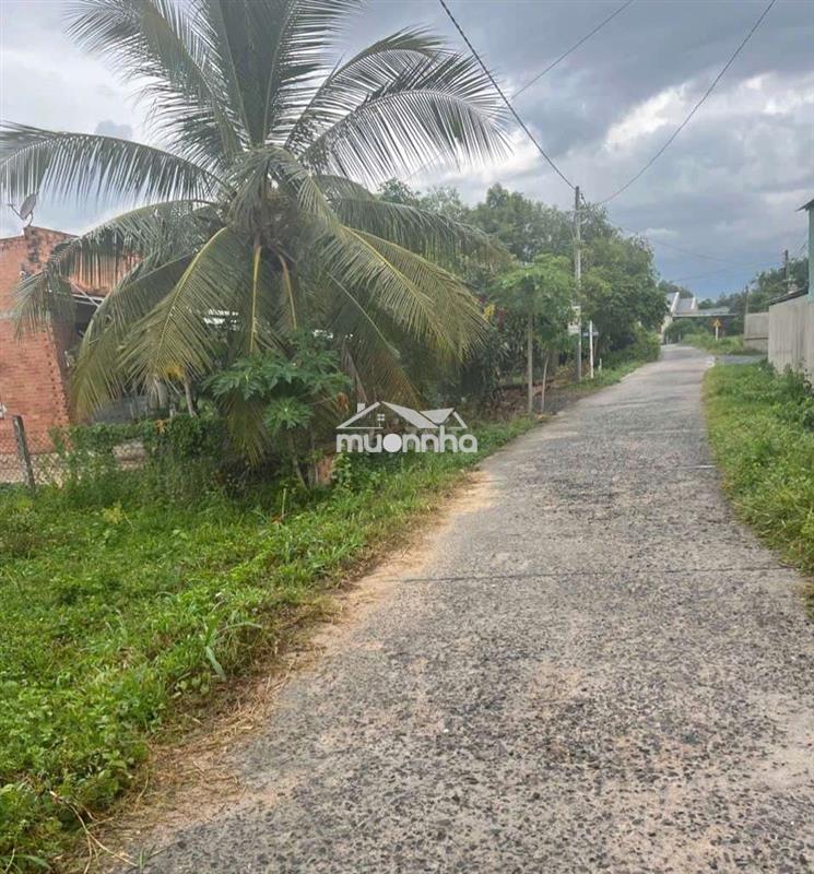 Đất vườn giáp đan 3 mét.