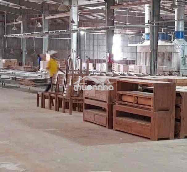Cho thuê xưởng tân uyên bình dương 6000m2 - 2