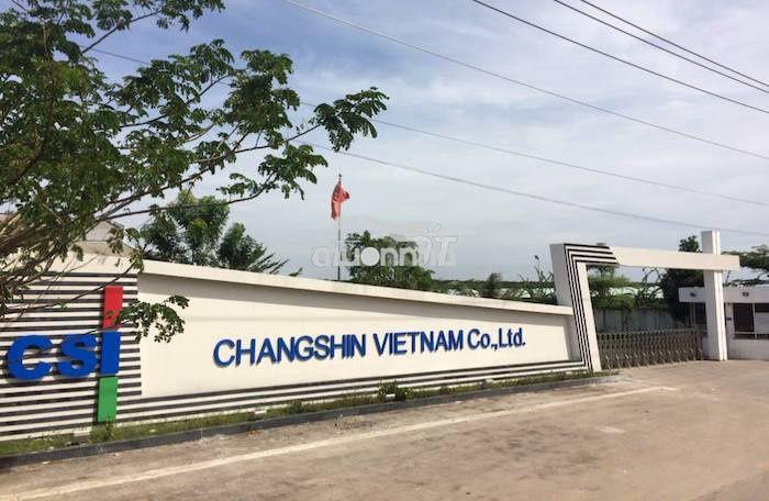 Giá full chỉ 700tr/lô dt 5x20m đất thổ cư gần changshin, sổ hồng riêng - 2
