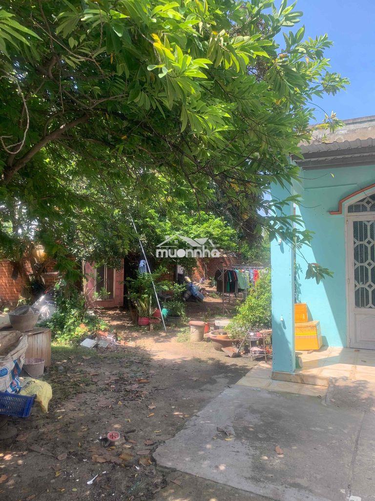 Cần cho thuê căn nhà 1 khách,1 phòng và bếp, tolet đầy đủ - 2