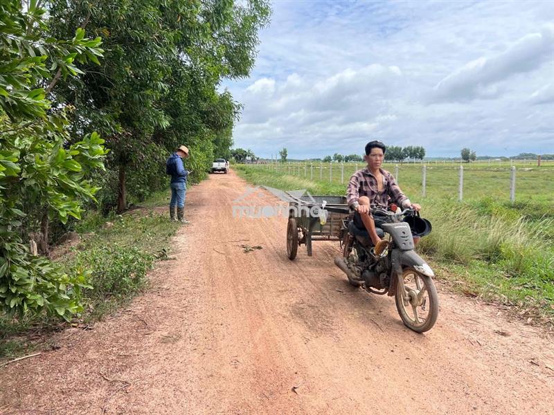 Đất nn làm đa mục đích