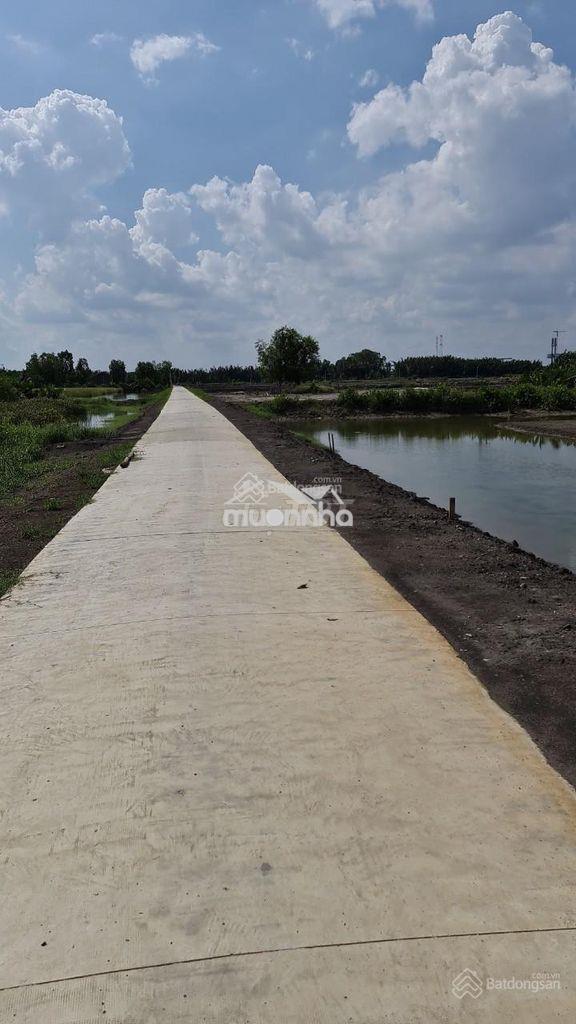 Bán 1086m2 đất cây lâu năm, đường bê tông 3.4m, xã bình khánh 3.5tr/m2 - 2