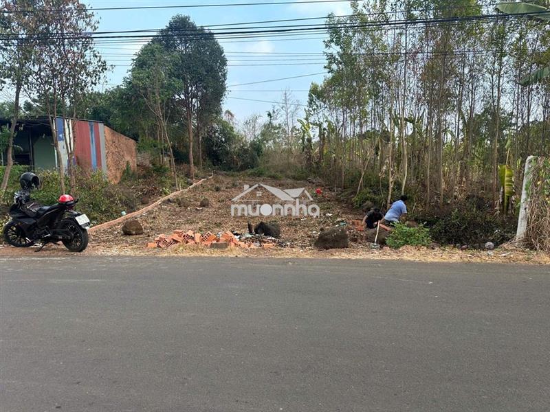 Cắt lỗ sâu bán lô đất mặt tiền đường liên xã phường trảng bom