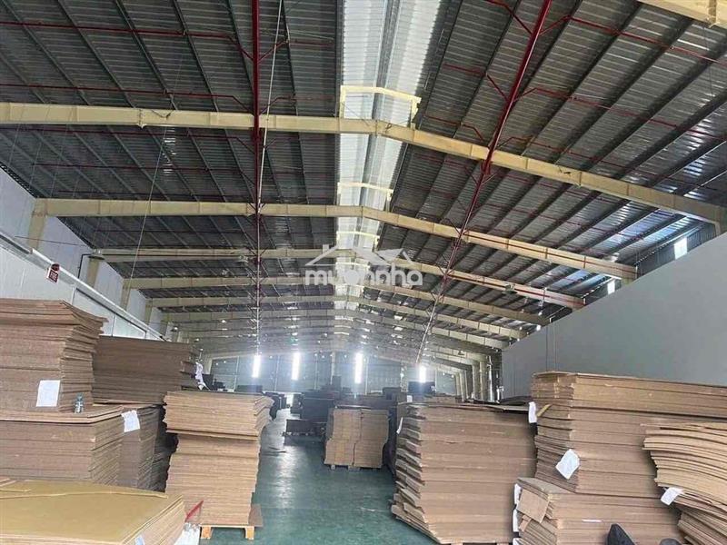 Cho thuê xưởng (1500m-100tr) pccc - xe cont - văn phòng