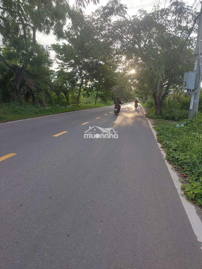 Bán 233 m2 đất  mặt tiền ngô quang thắm nhơn đức, nhà bè. - 3