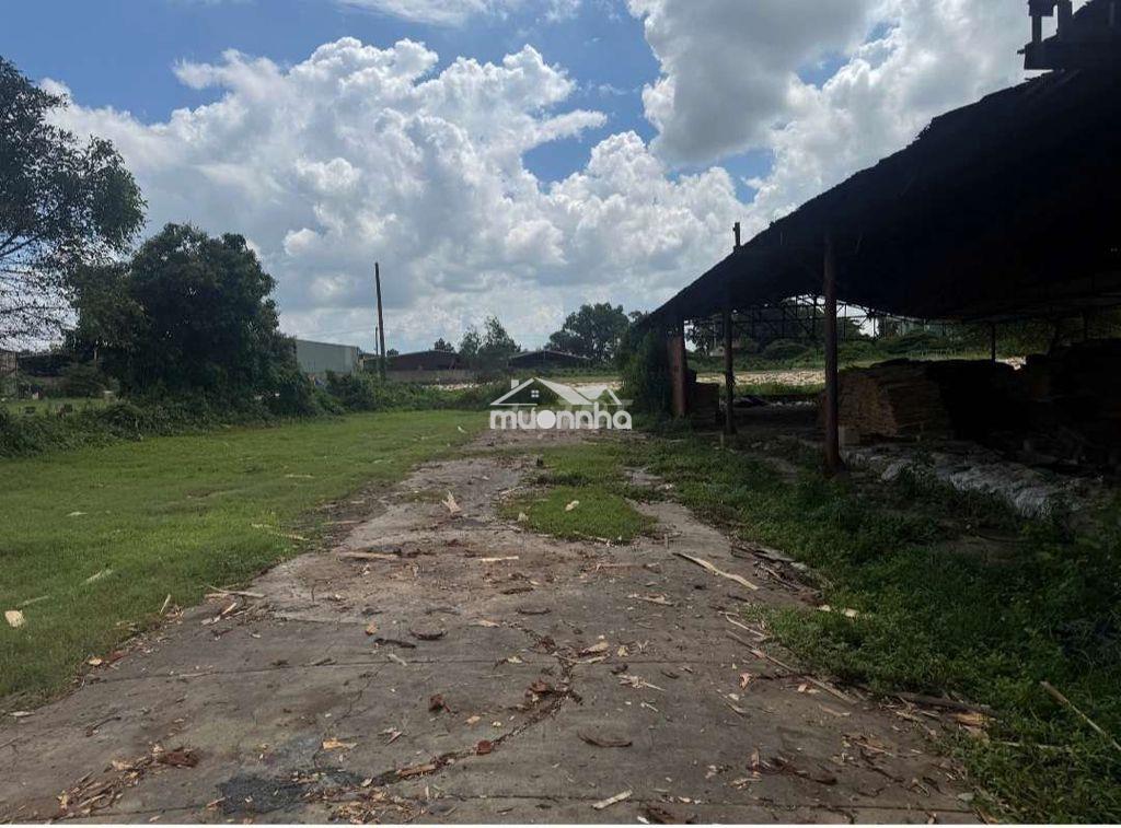 Cho thuê dài hạn  16.000m2 đất skc,khánh bình,tân hiệp,tân uyên,bd - 2