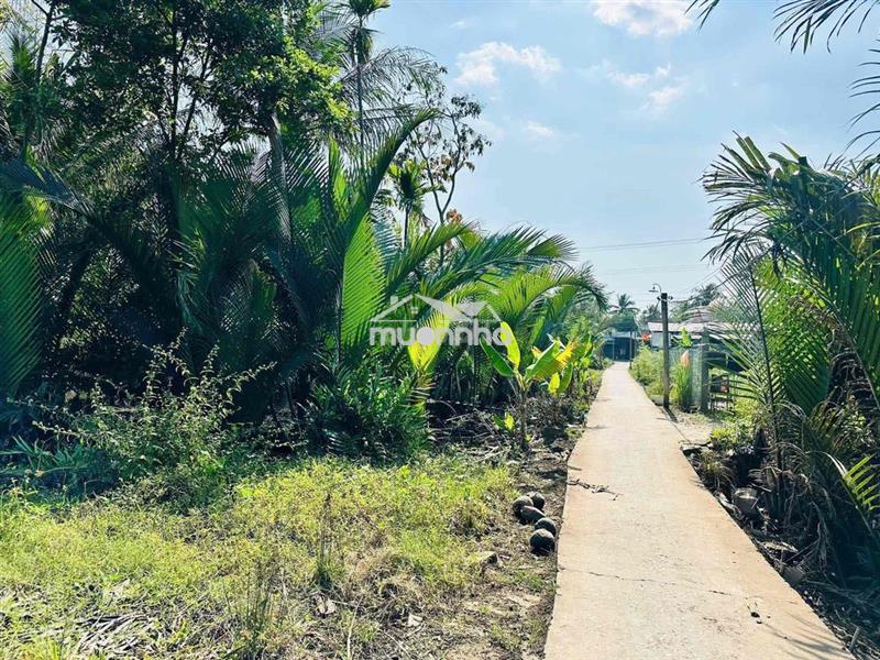💥Đất an định - mc nam 500 triệu/công💥
