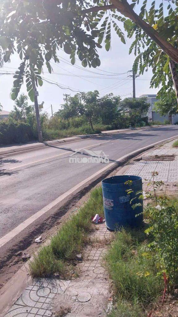 Cần bán 2ha3 đất mặt tiền ngô quang thắm nhà bè hcm - 3