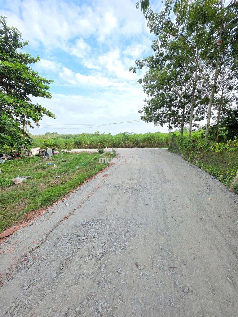 Đất thổ cư gần kcn hiệp thạnh. 9m ngang. chỉ 240tr  - 4