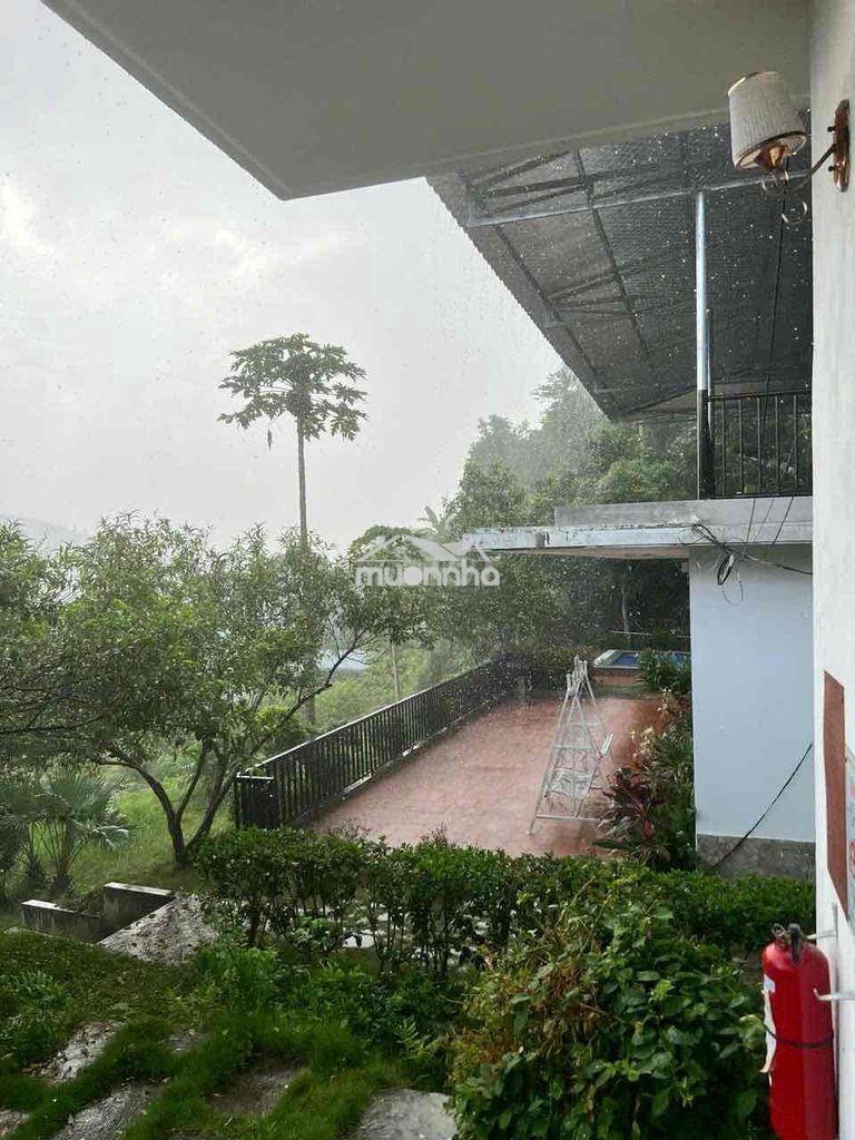 Chính chủ bán biệt thự sunset villas view hồ, căn c103, dt 340m2, giá - 3