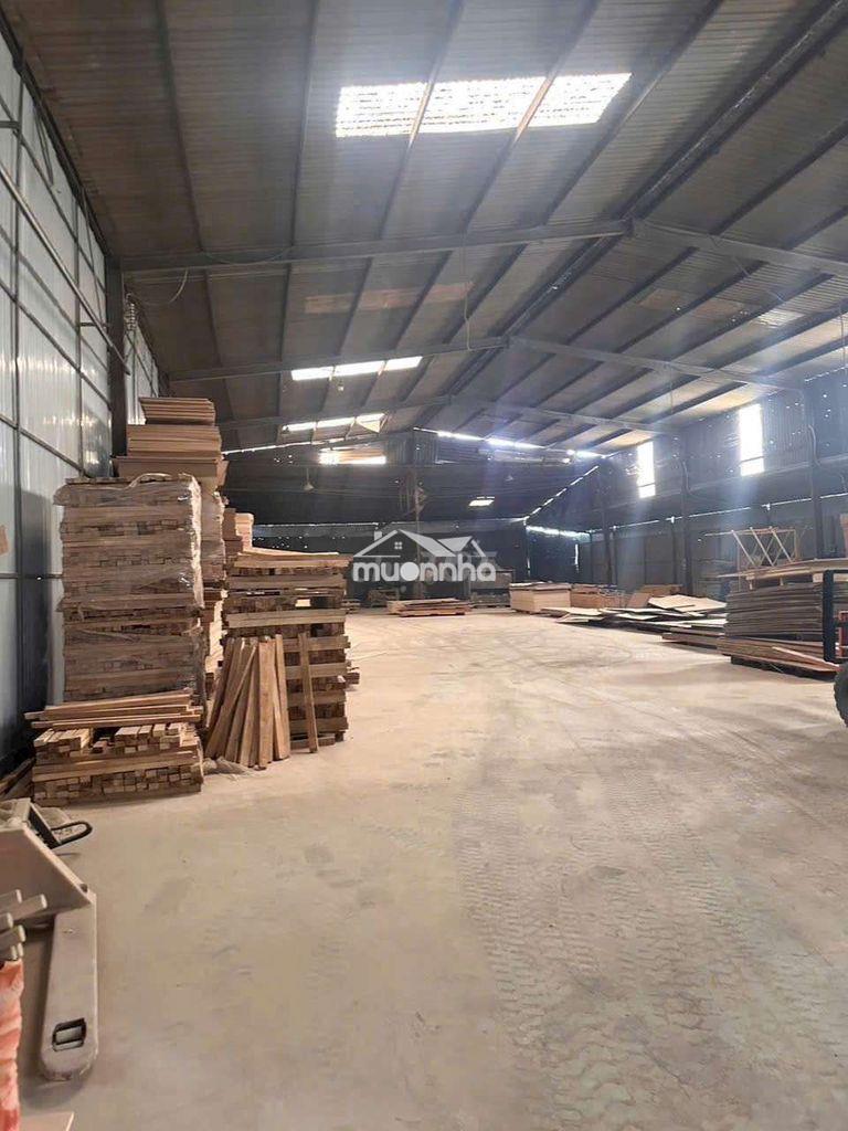 Cho thuê xưởng thuận giao thuận an bình dương - 3