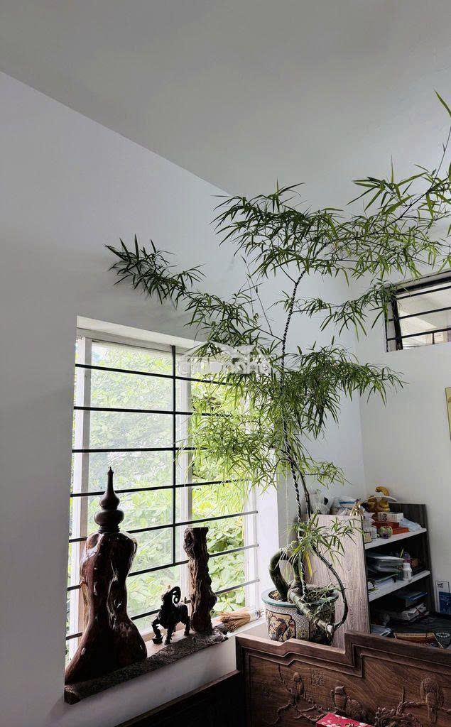 Chung cư ngay công viên lê thị riêng có thang máy 53m2 - 2