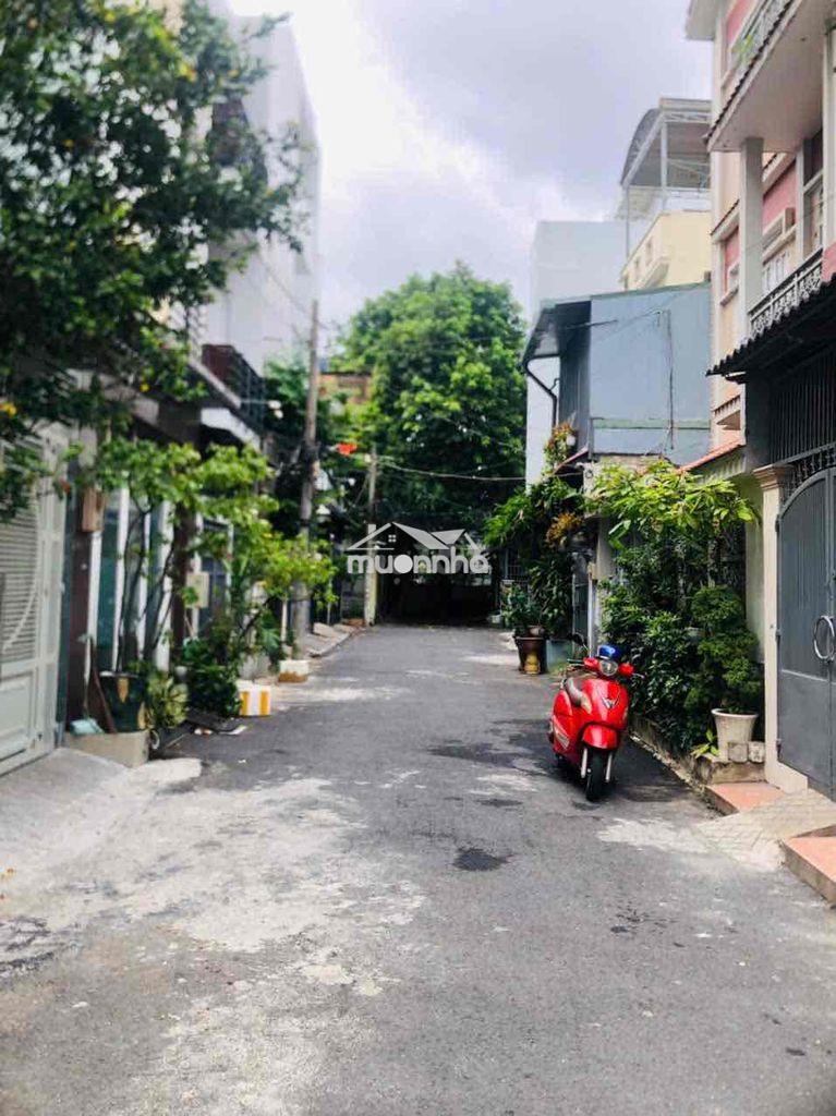 Nguyên căn hxh hoàng hoa thám (4x16m 2 lầu)