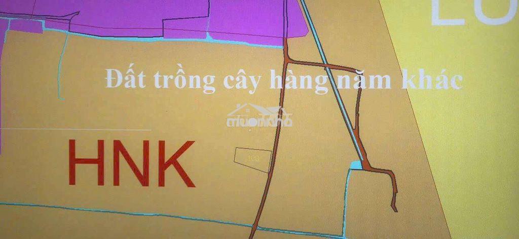 Đất chính chủ cần bán - 4
