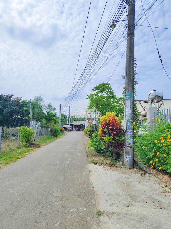 🔥 220 triệu – hơn 500m² nay 1 xẹt đường nhựa đoàn thị điểm, trị an 🔥 - 3