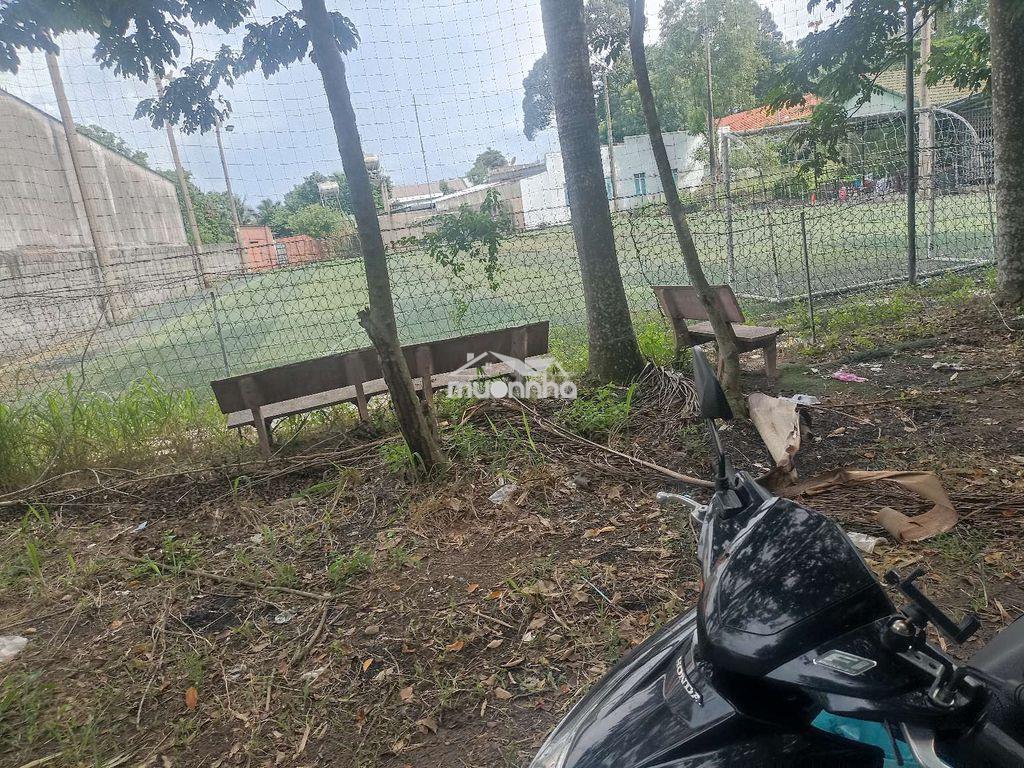 Bán đất vườn - 2