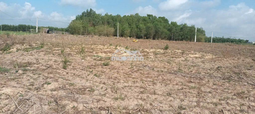 Bán lỗ - 1052m2 đất láng dài- đấtt đỏ- hcm - 2