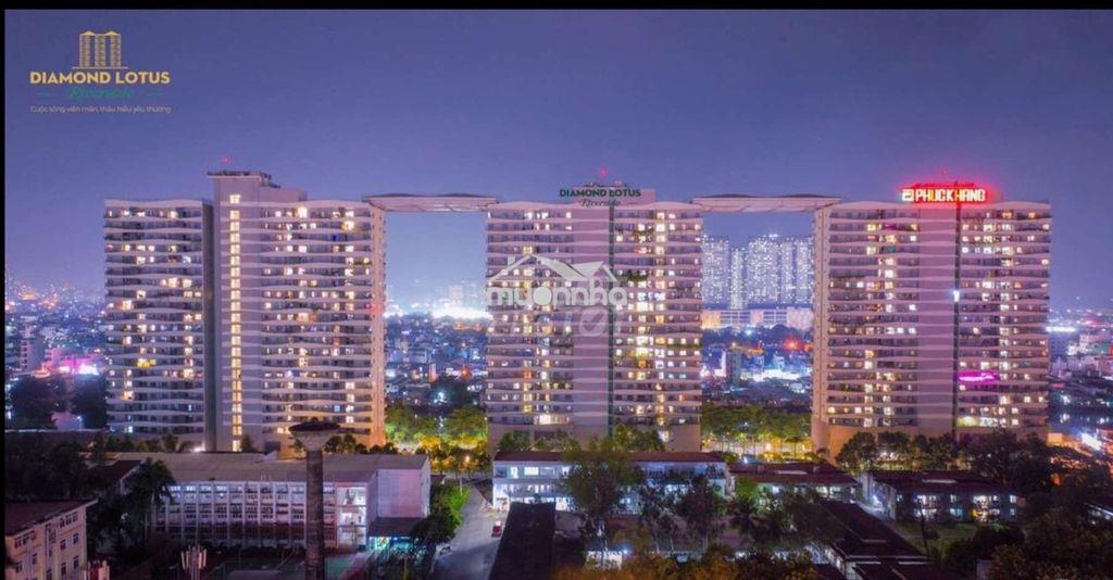 Cho thuê căn hộ 1 phòng ngủ diamond lotus riverside - 2