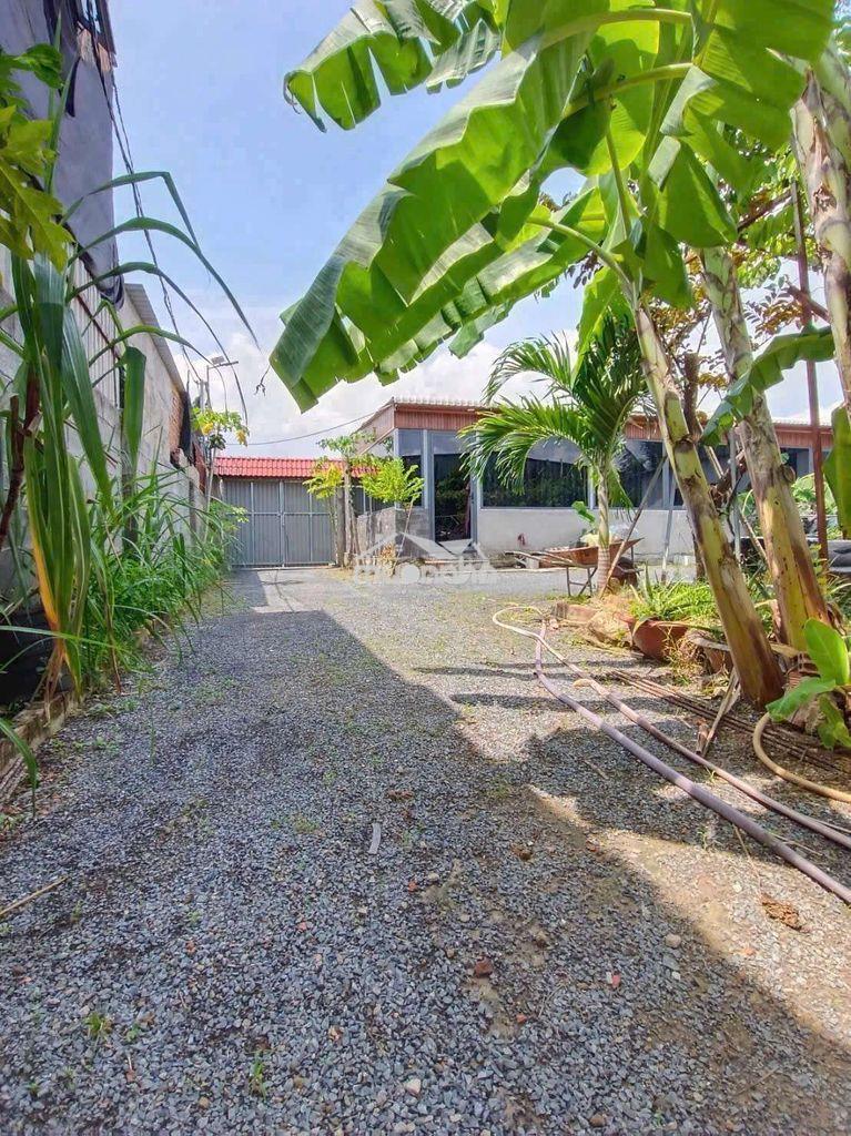 Nhà vườn phường bửu long