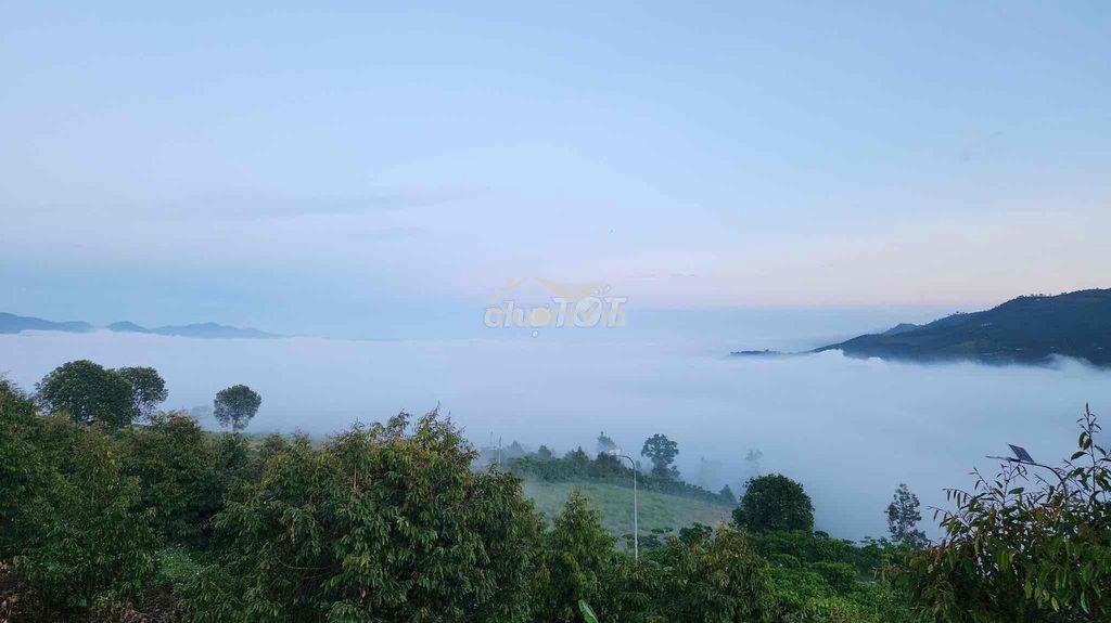 Đất bảo lộc view săn mây - 4