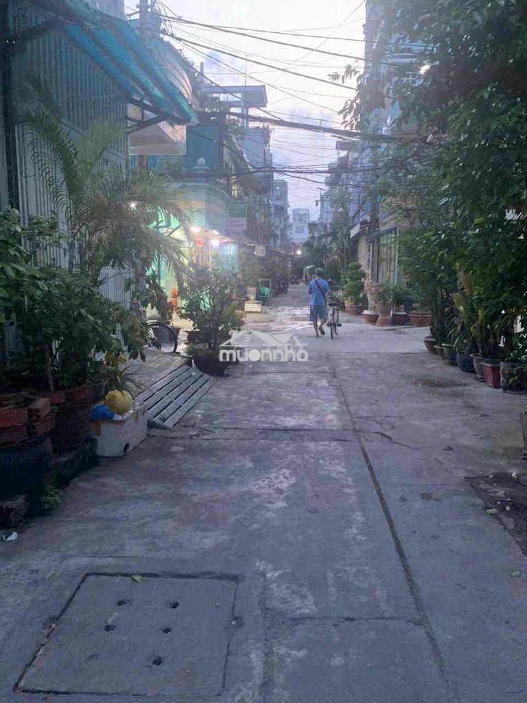 Nhà cho thuê lạc long quân giá hạt dẻ - 2