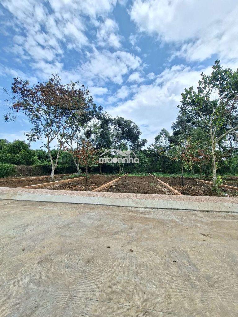 Đất bình lộc ngay khu bàn cờ - 3