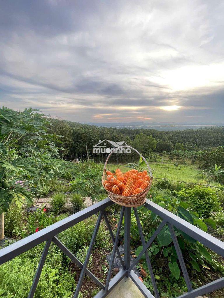 Bán đất vườn view sông la ngà – diện tích 1.400m² – giá chỉ hơn 1 tỷ - 3