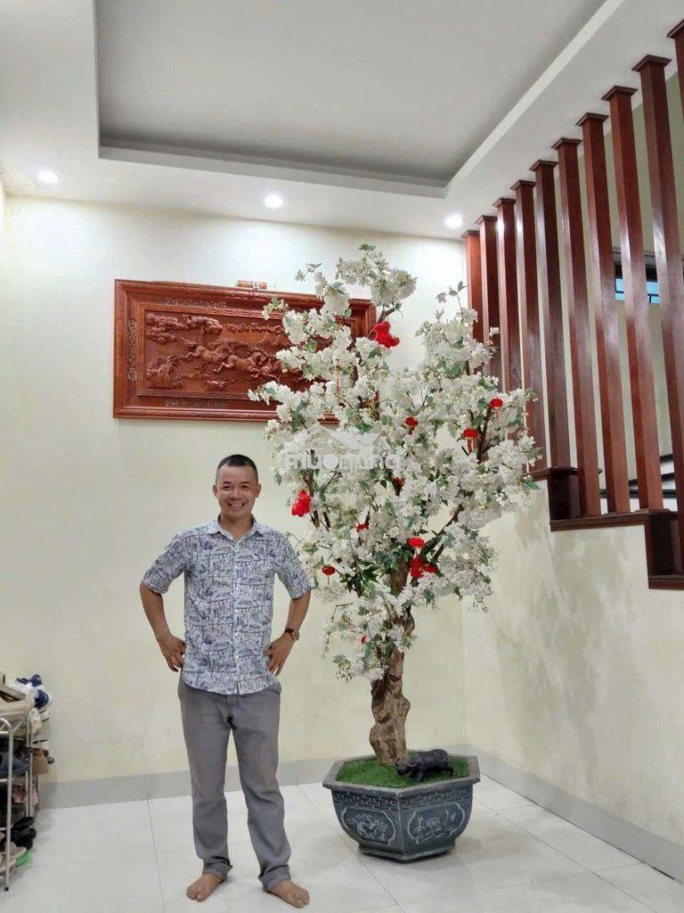 🌹 Biệt thự 3 tầng – chủ ngộp giảm sâu 4 tỷ – giá chốt 10 tỷ – 🌹