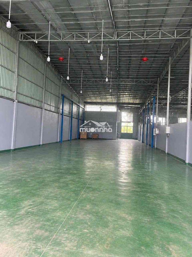 Cho thuê kho xuân thới sơn hóc môn