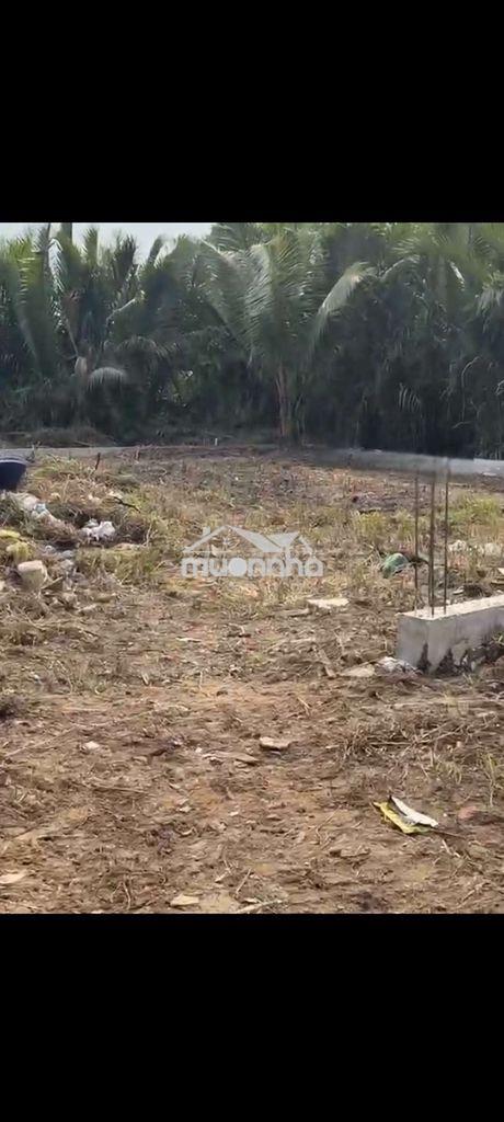 Bán 525 m2 đất trồng cây lâu năm lê văn lương , nhơn đức, nhà bè - 2