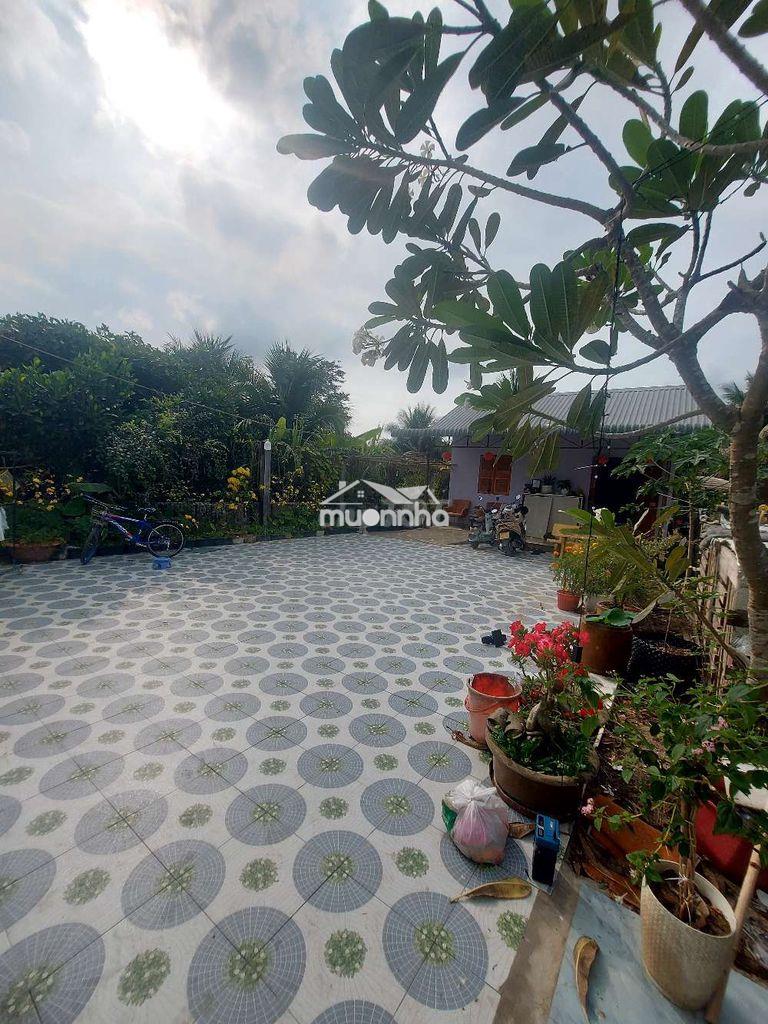 Bán nhà vườn thủ thừa long an cũ - 3