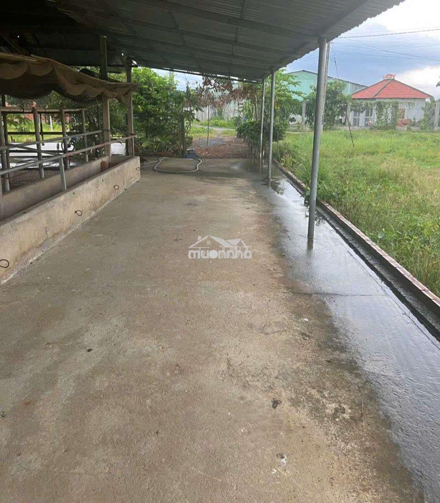 Đất vườn giáp đan 3 mét. - 2