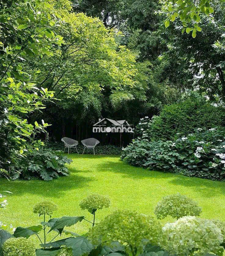 🌿 689tr – 1328m² vườn trái cây cạnh sông la ngà - cách nhựa 200m - 2